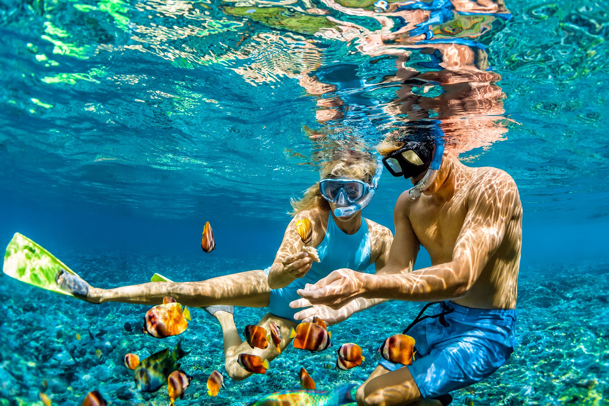 Maldives Underwater Snorkel Fishes Couple