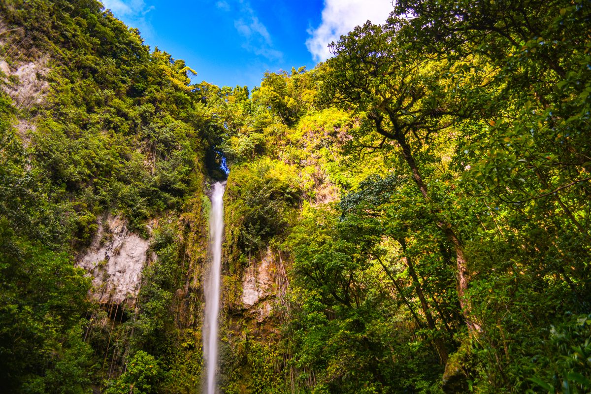 Middleham-Falls