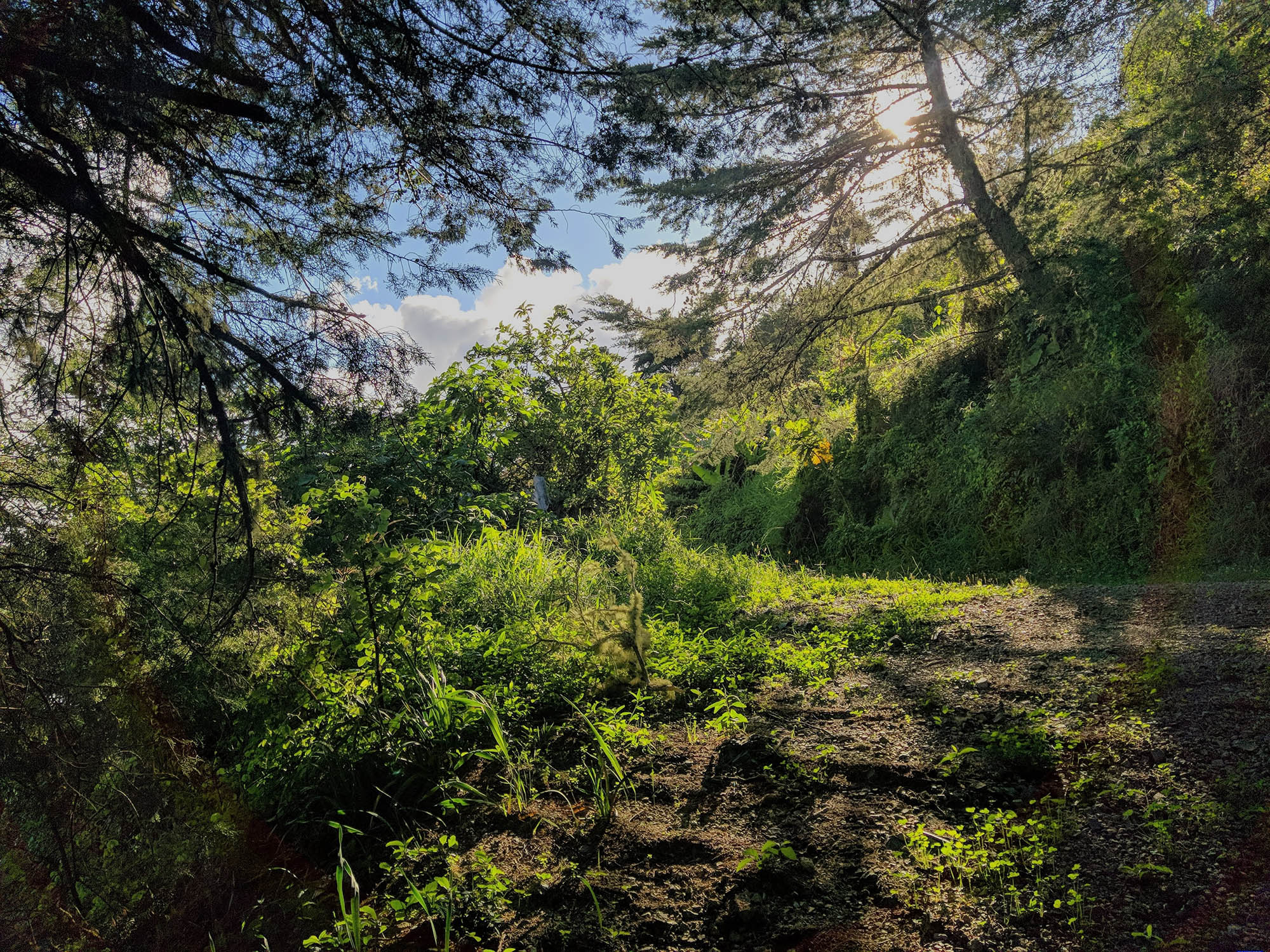 Mount-Zion-Hill-Nature-Walk