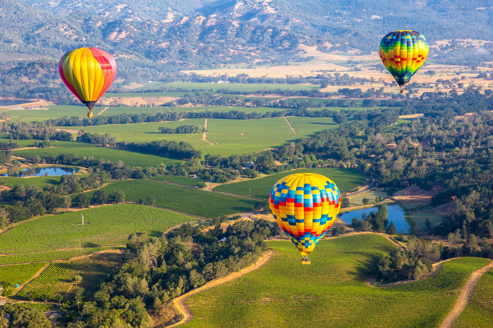 Napa-Valley--California