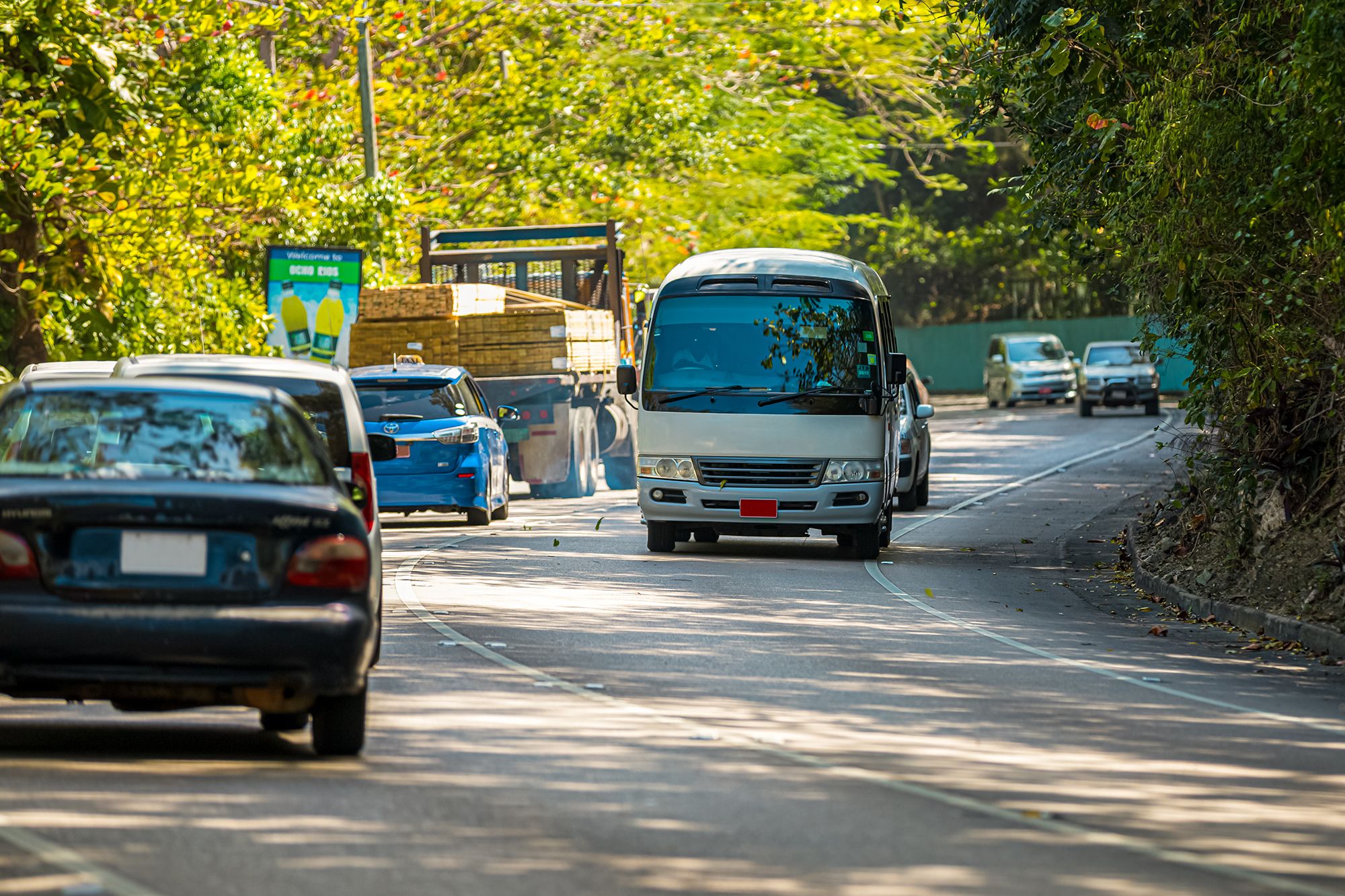 Negril Jamaica Bus Travel