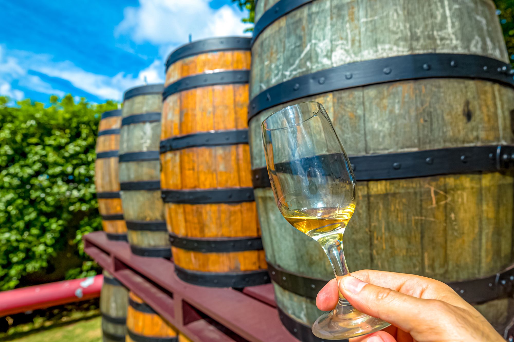 Rum Distillery Barbados