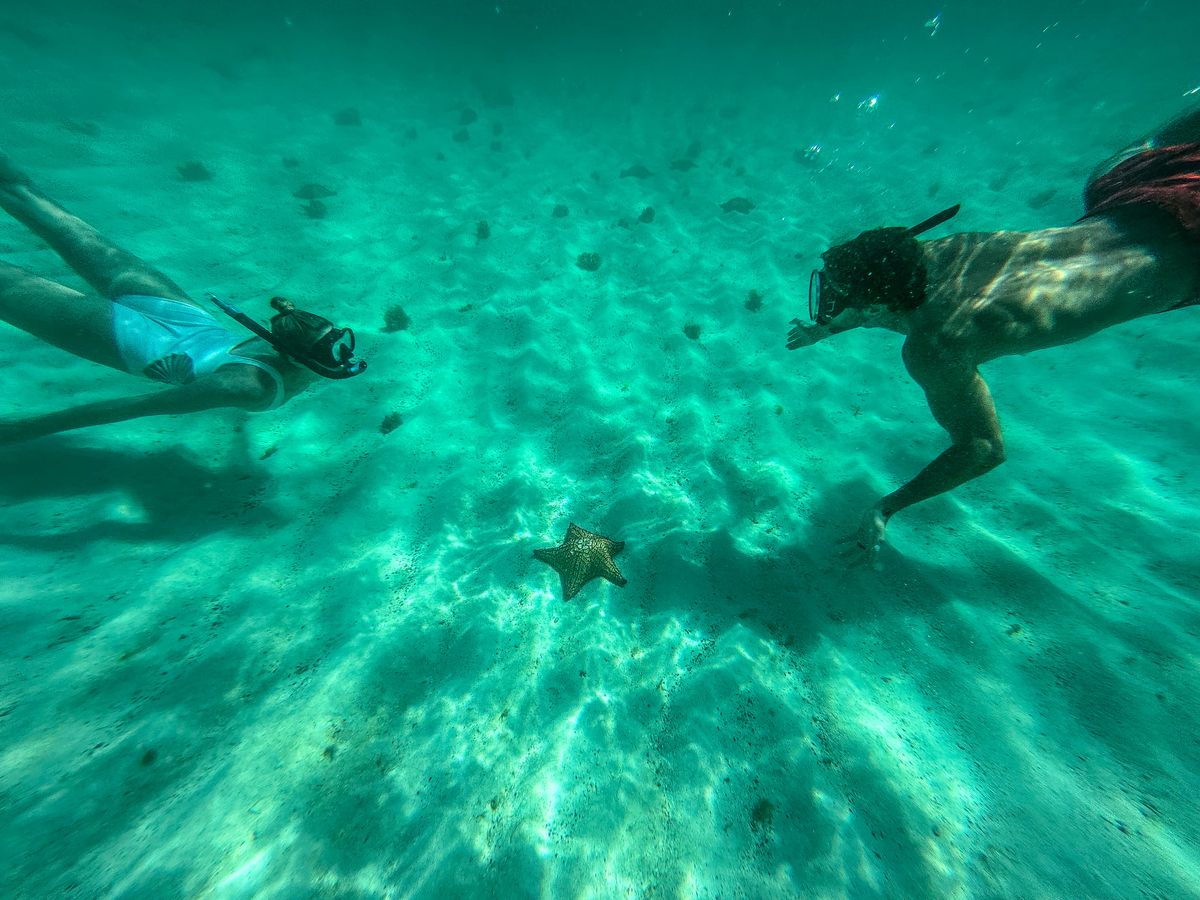 couple snorkeling in st vincent