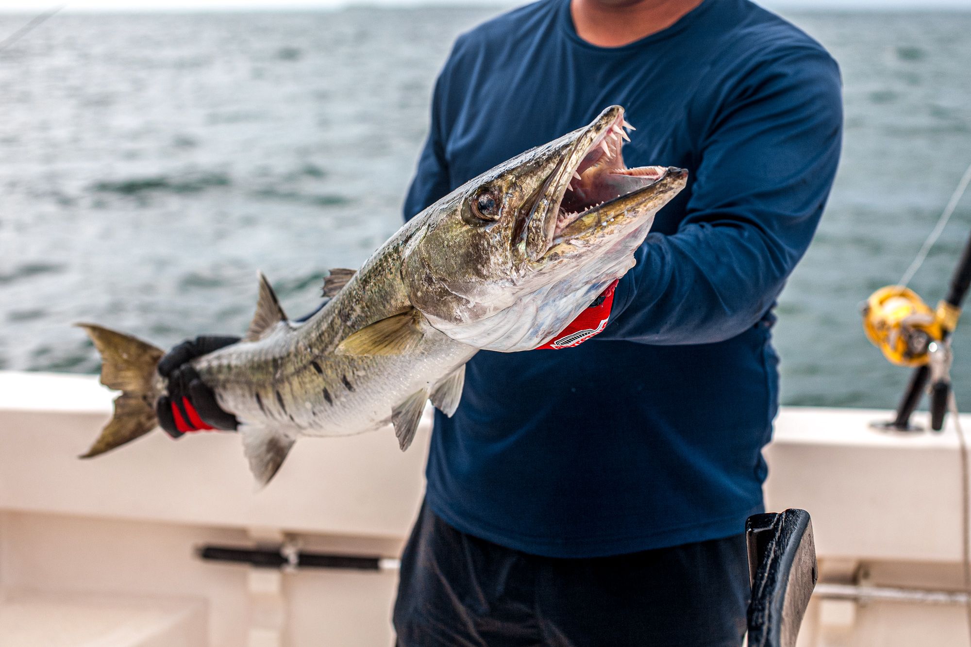 Saint Lucia Reef Fishing Barracuda