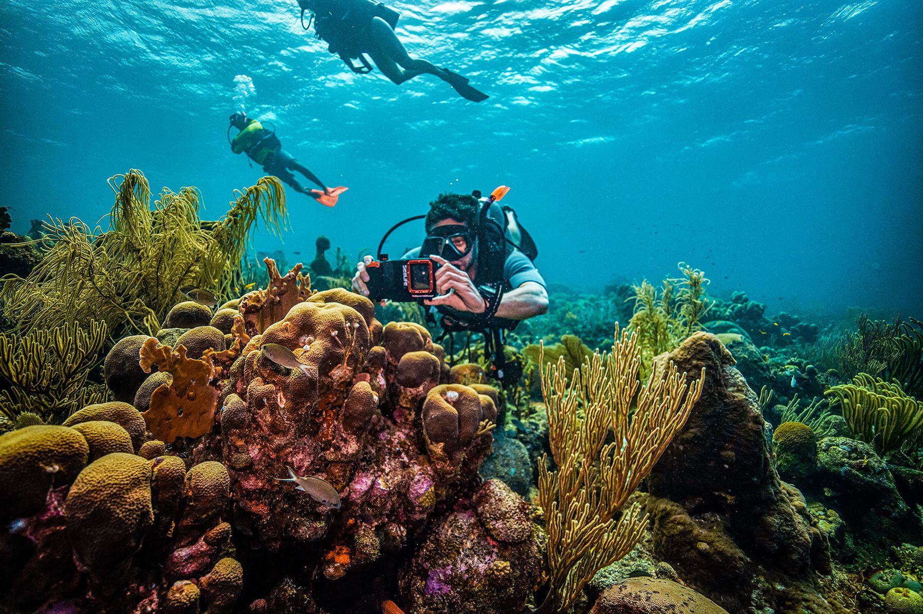 Sandals Curacao Padi Scuba Coral