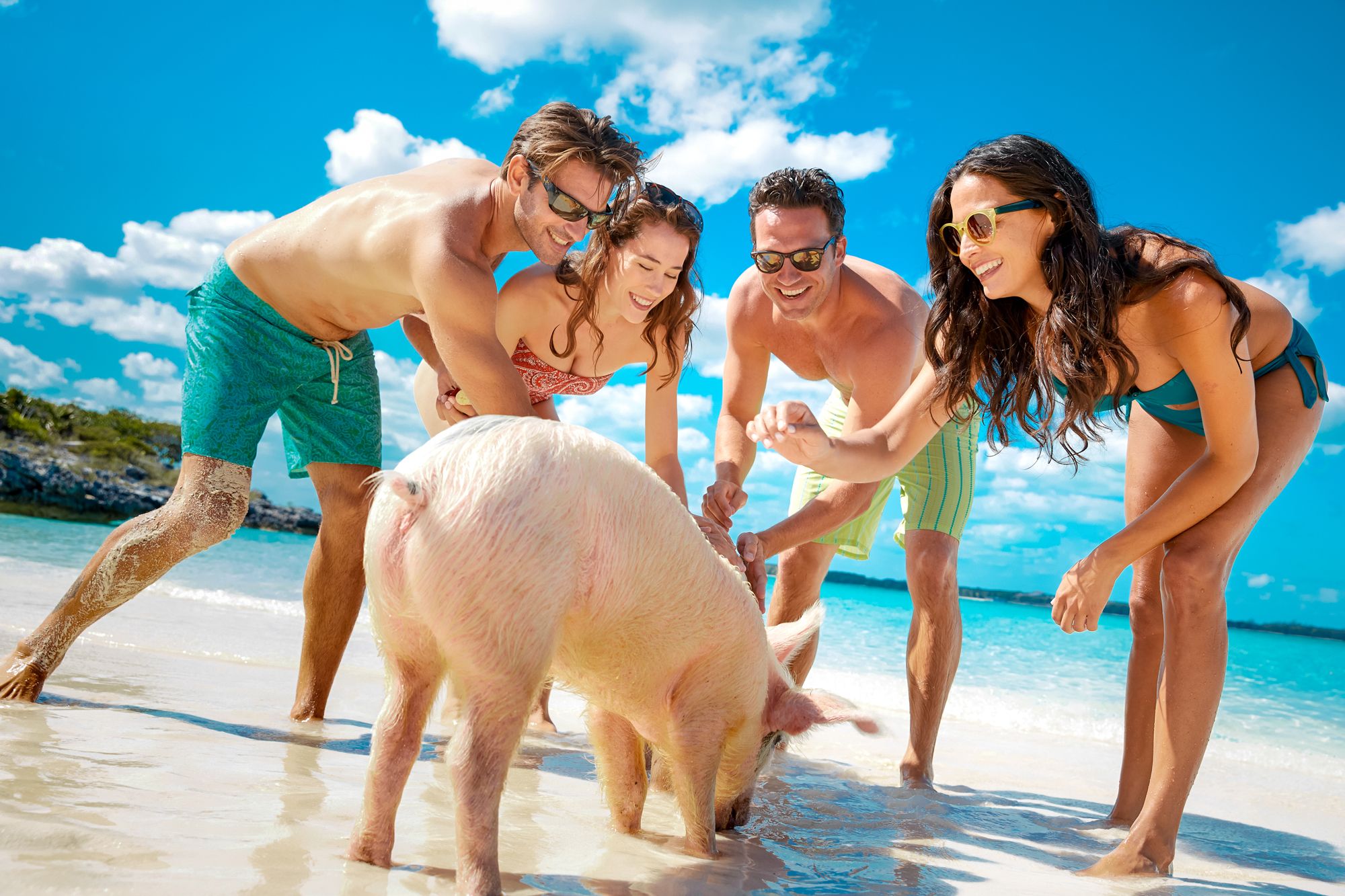 Sandals Emerald Bay Bahamas Pig Island