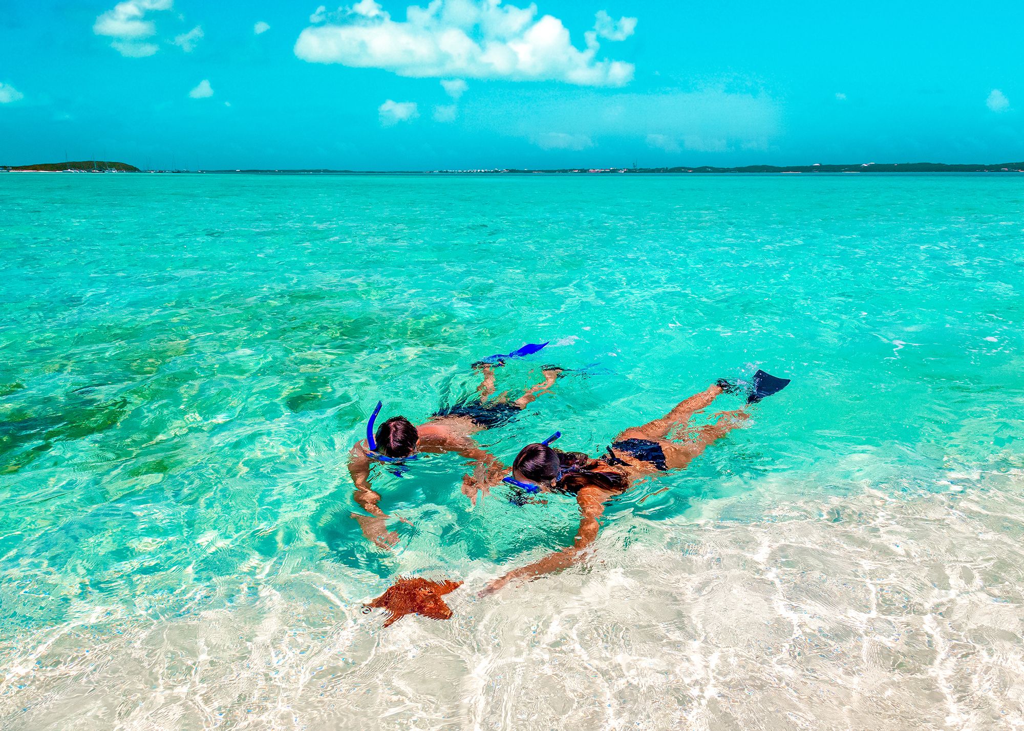 Sandals Emerald Bay Bahamas Snorkel Sea Star