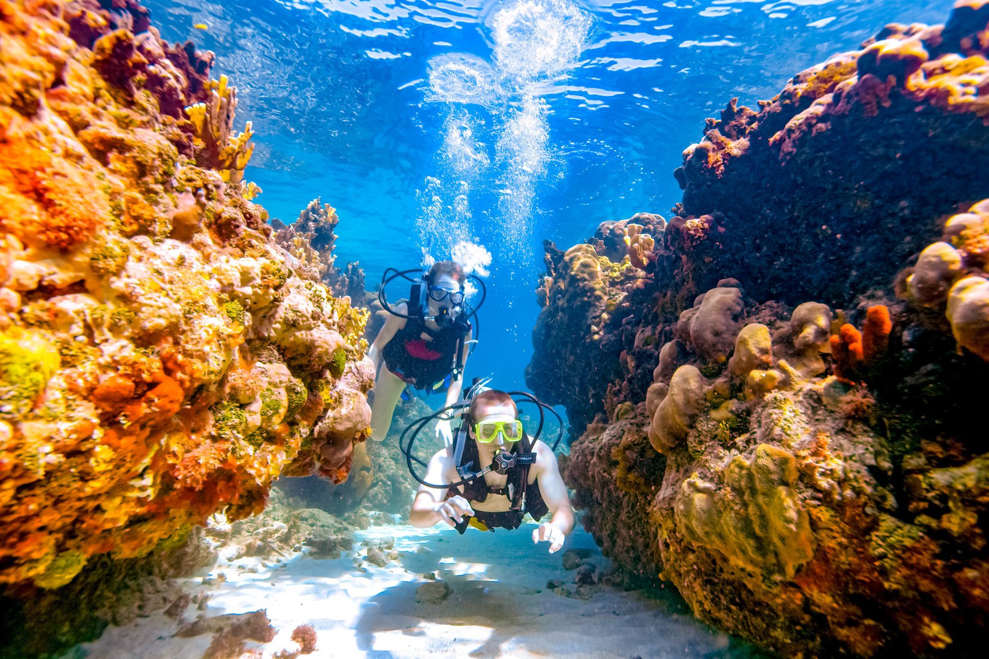 Sandals Scuba Diving Coral Couple