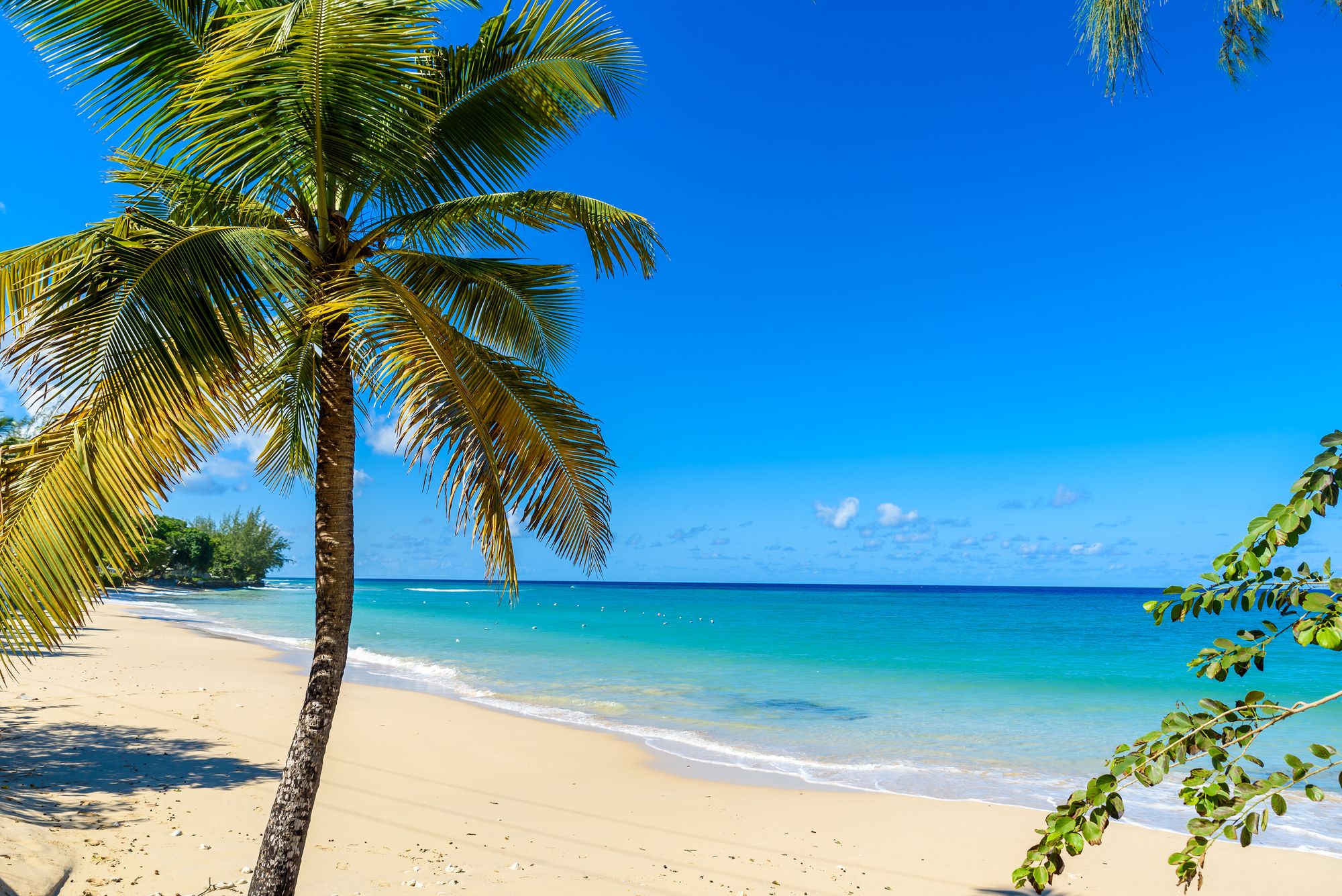 Scenic, Breezy & Tropical - Here