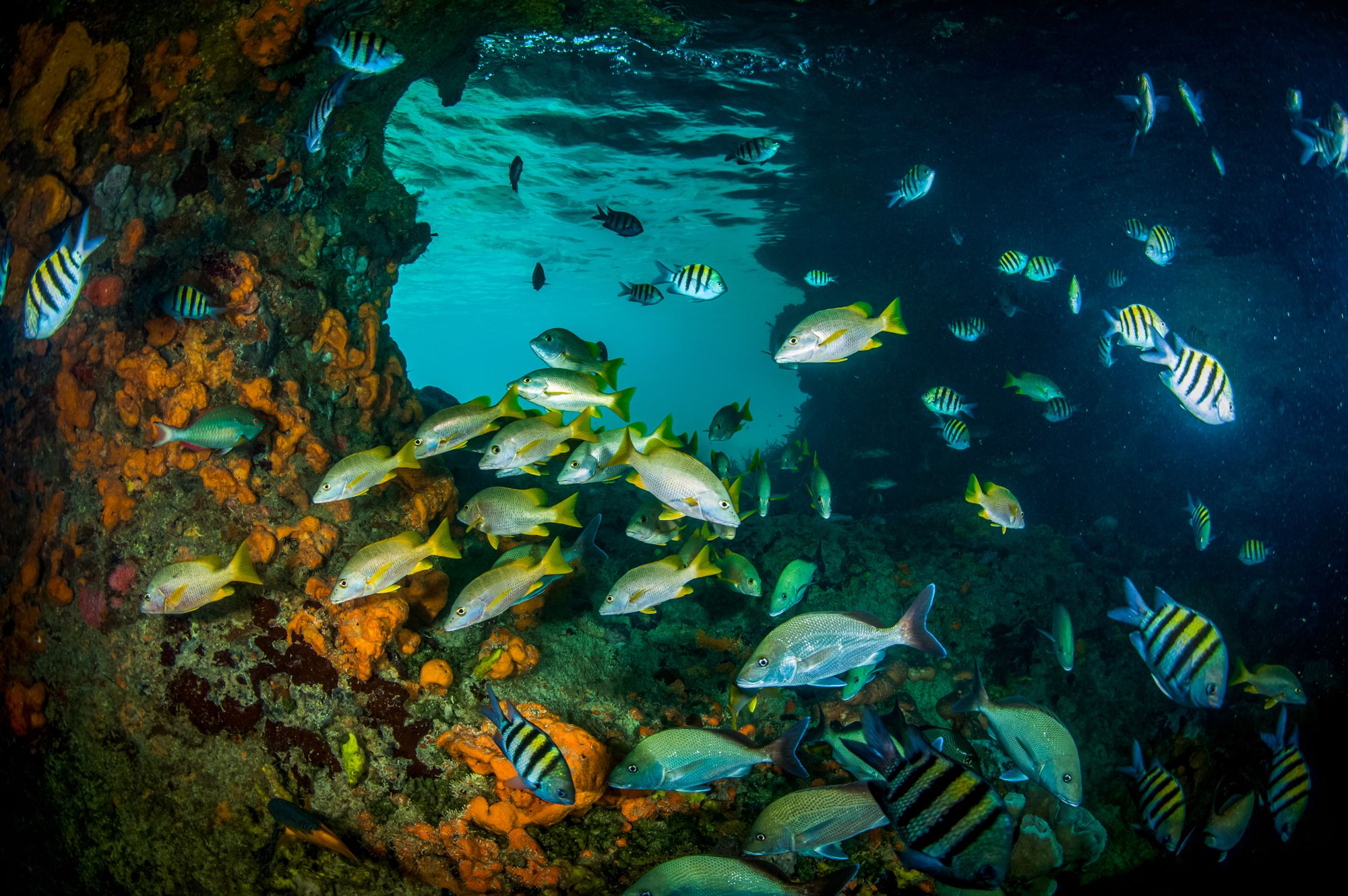 Thunderball Grotto Exuma Bahamas