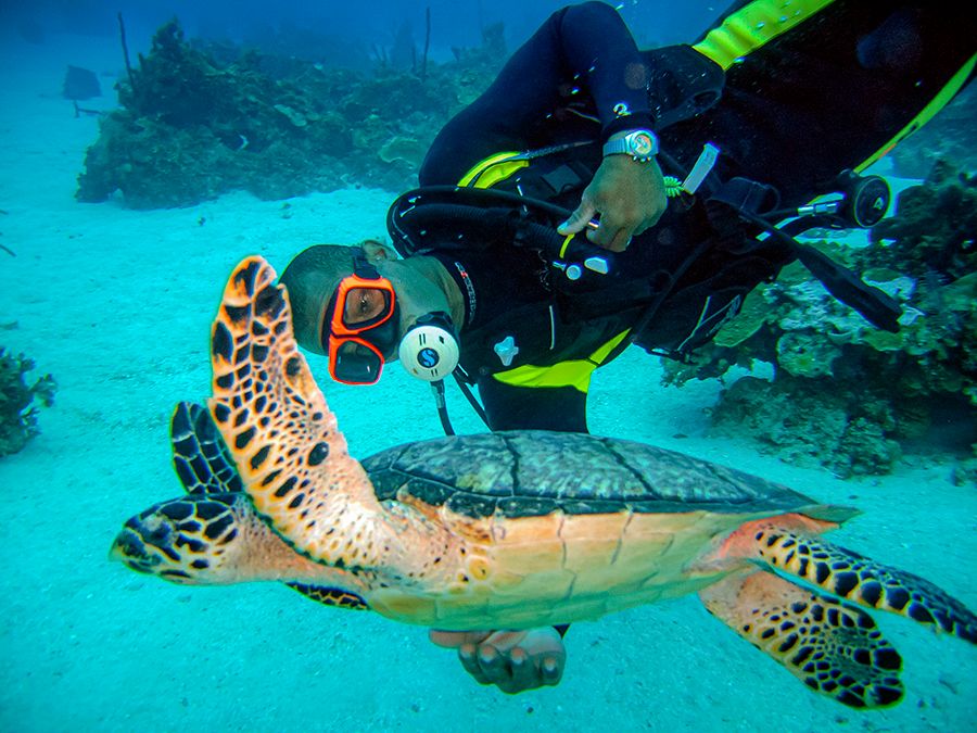 Scuba-Dive-Jamaica