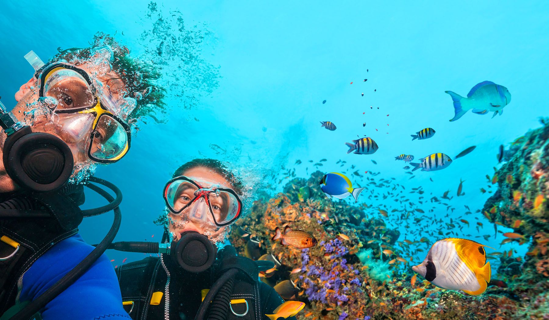 Scuba Diving In Antigua: What To Expect?