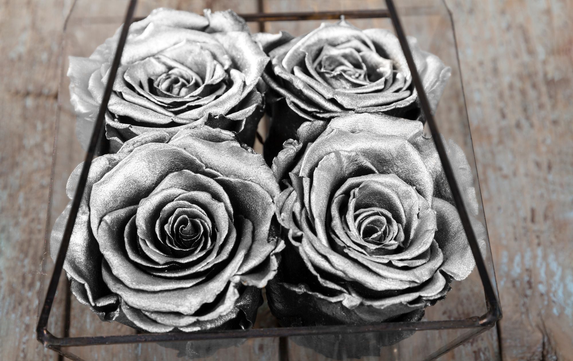 Silver-Rose