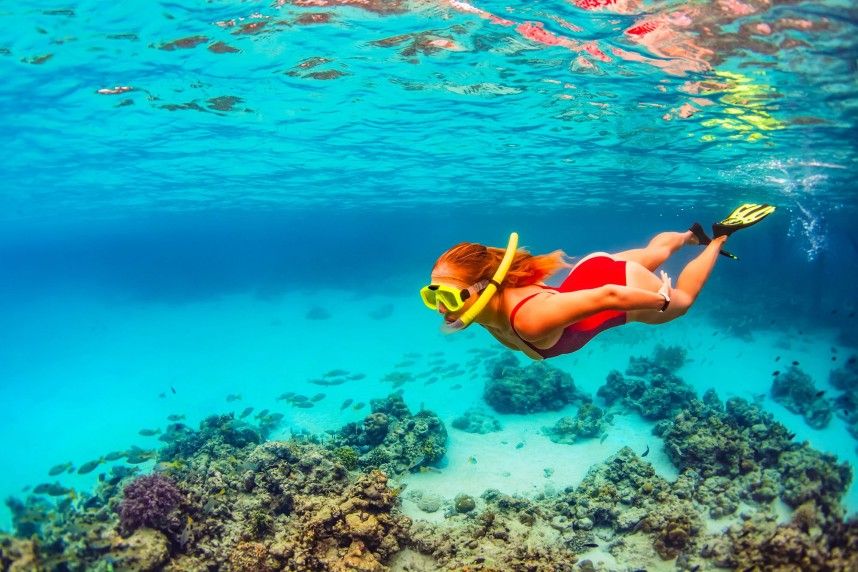 Snorkel-Bahamas-Reef-Coral-1