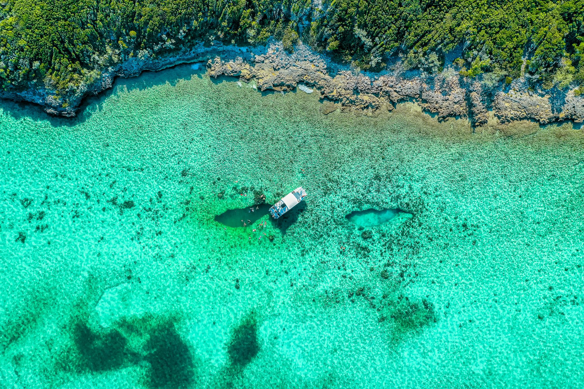 Snorkeling In The Bahamas? Here Are The 18 Best Snorkeling Spots In Nassau, The Exumas, Andros, And More!