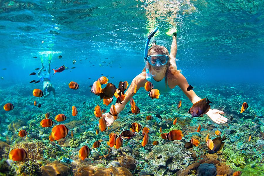 Snorkeling-at-Love-Beach