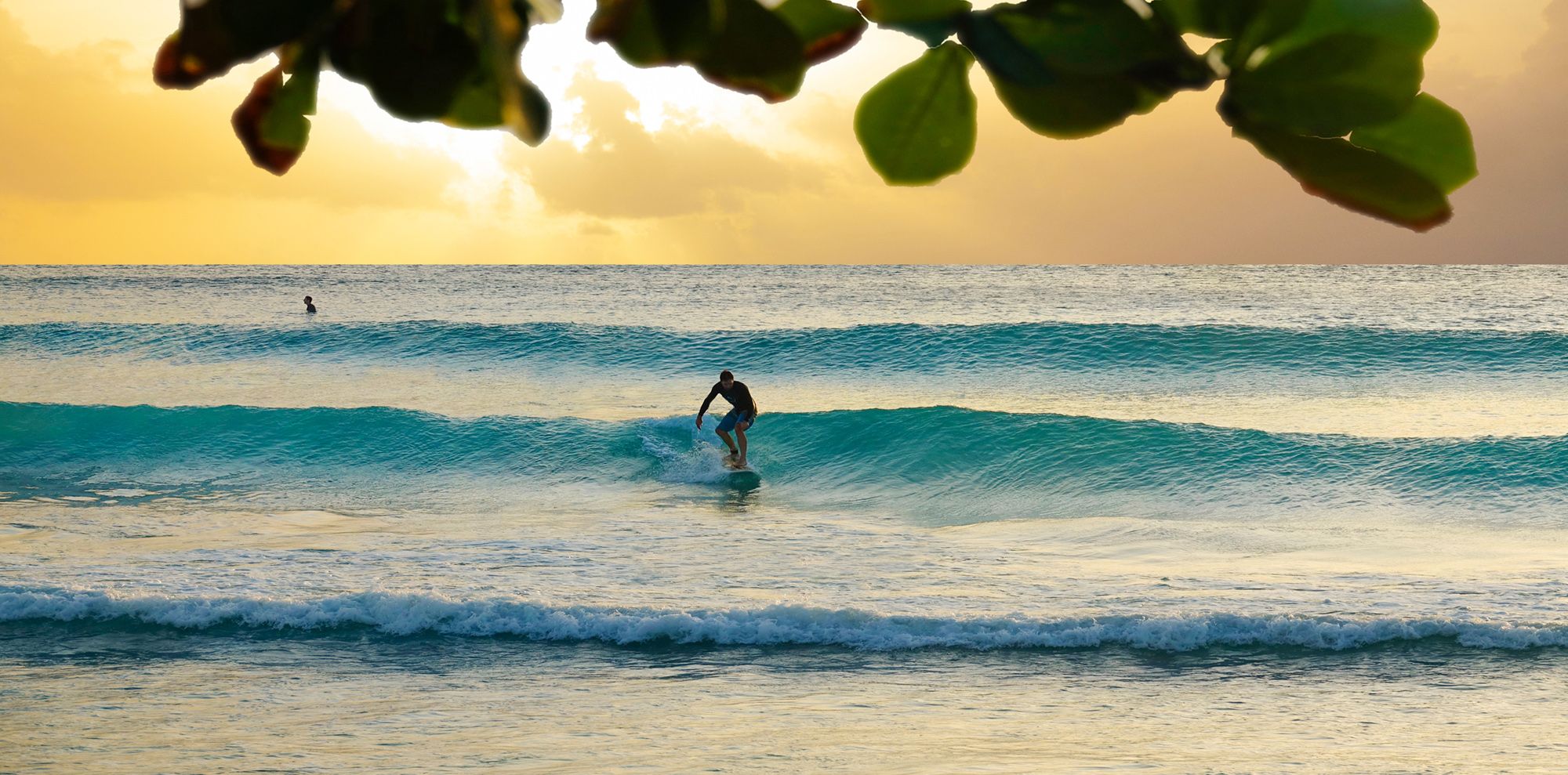 Surf-in-Barbados