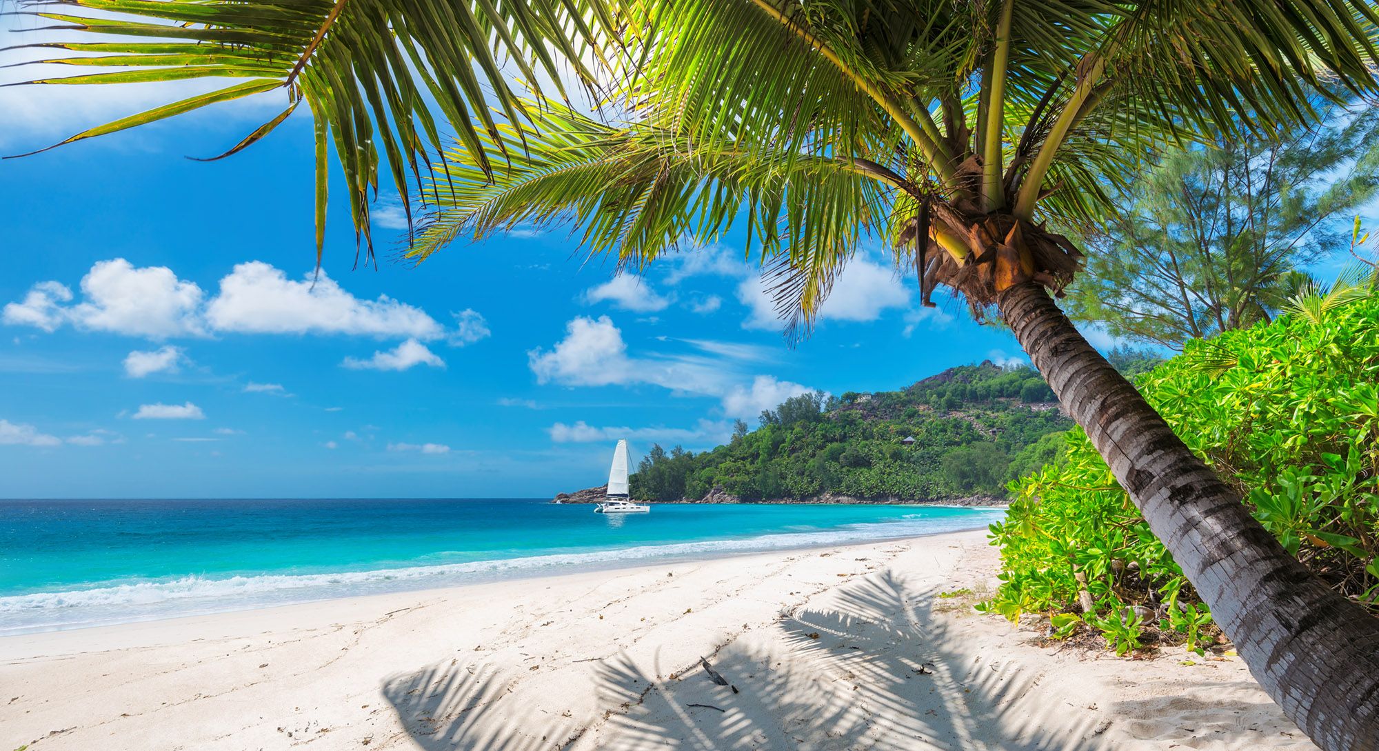 Surf-in-Jamaica