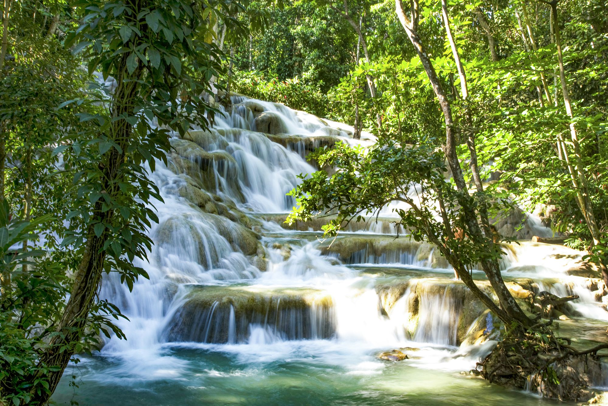 The 26 Absolute Best Tropical Waterfalls In The Caribbean