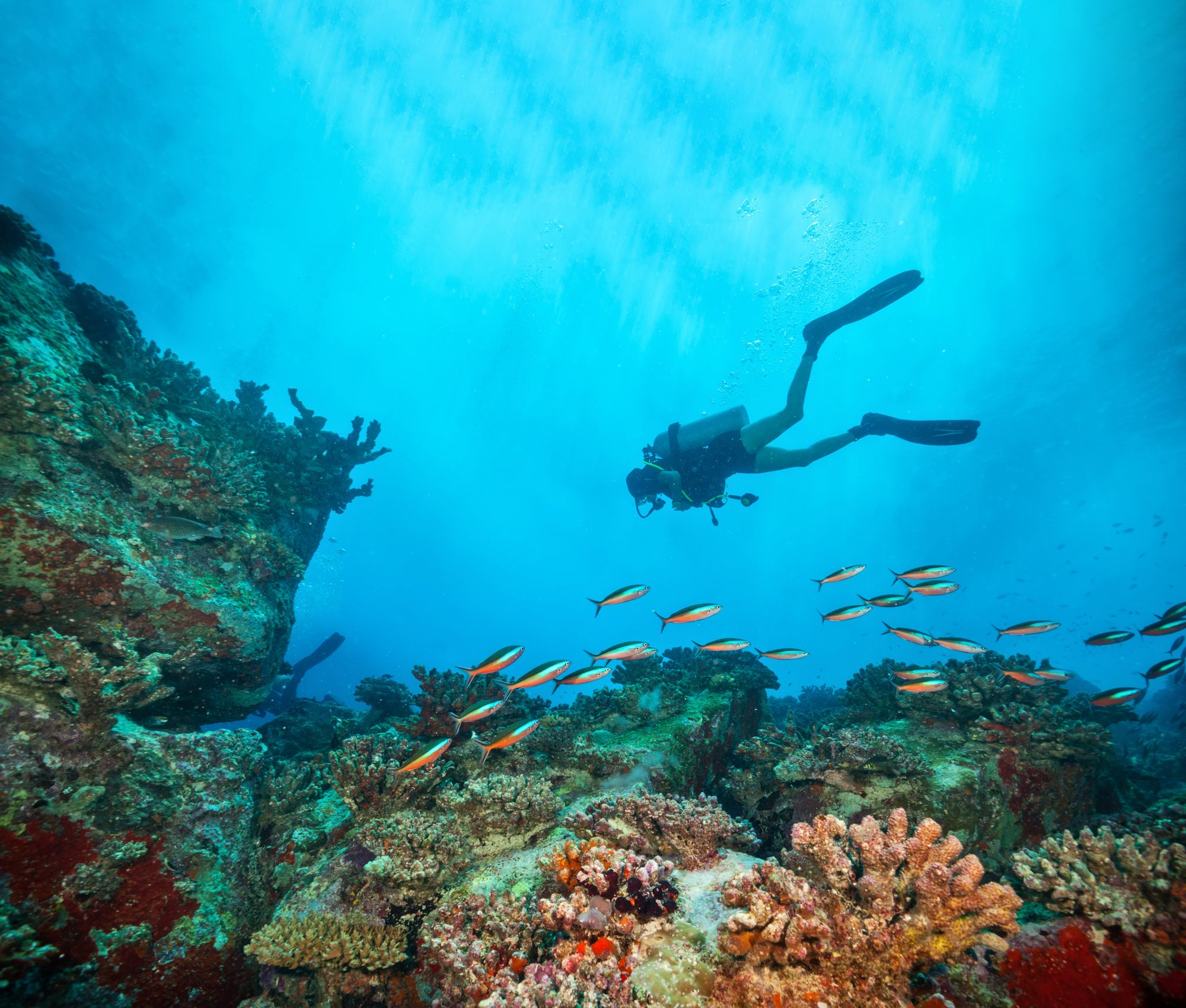 Best sandals for scuba diving on sale