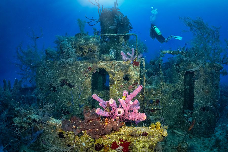 The-Bahamas-Scuba-Dive