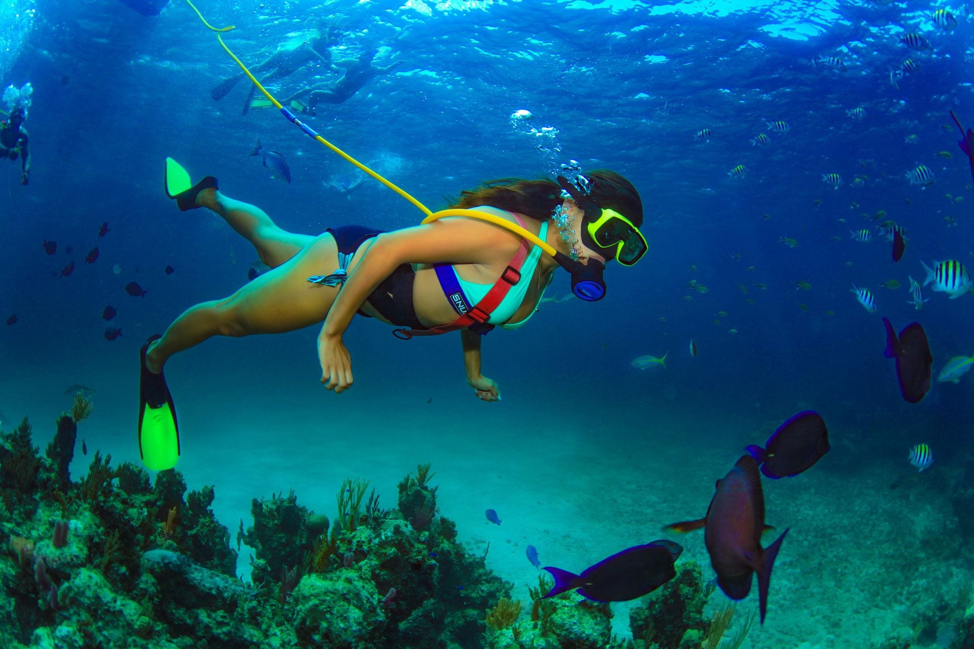 Snuba Machine The Ultimate Guide to SNUBA Diving: All You Need To Know