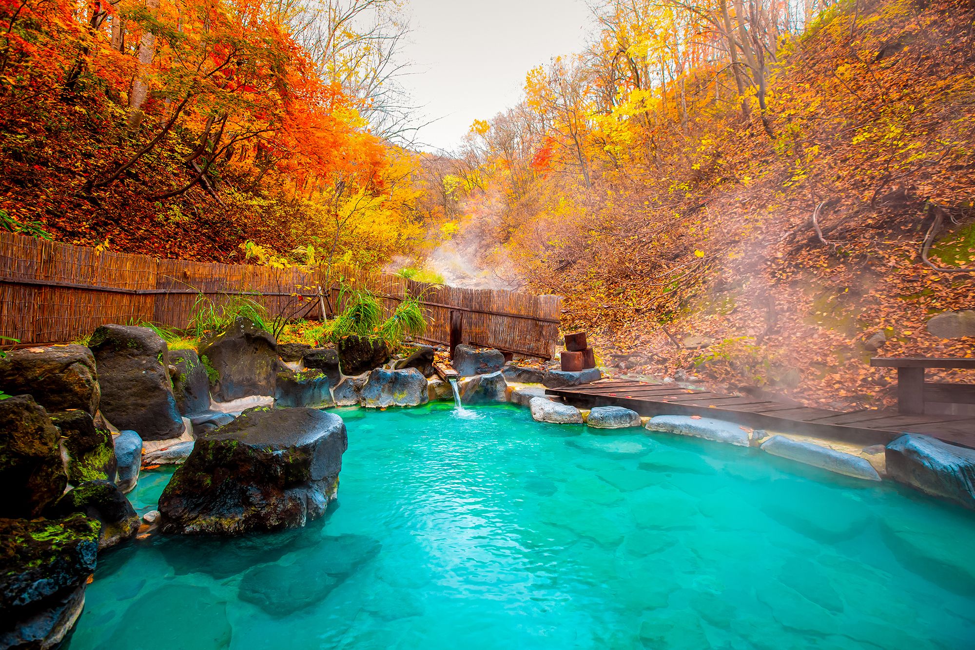 Tokyo Japan Spa Hot Springs
