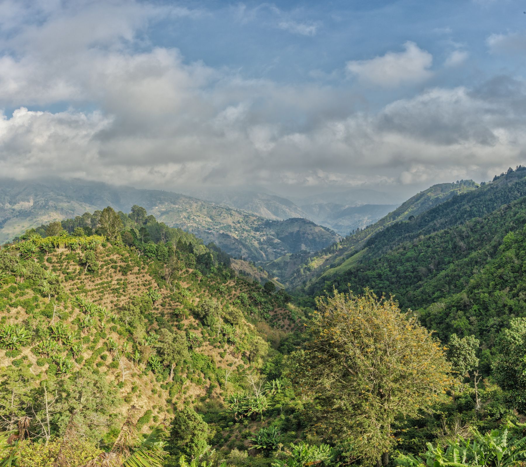 View-from-Blue-Mountain-Hiking-Trail