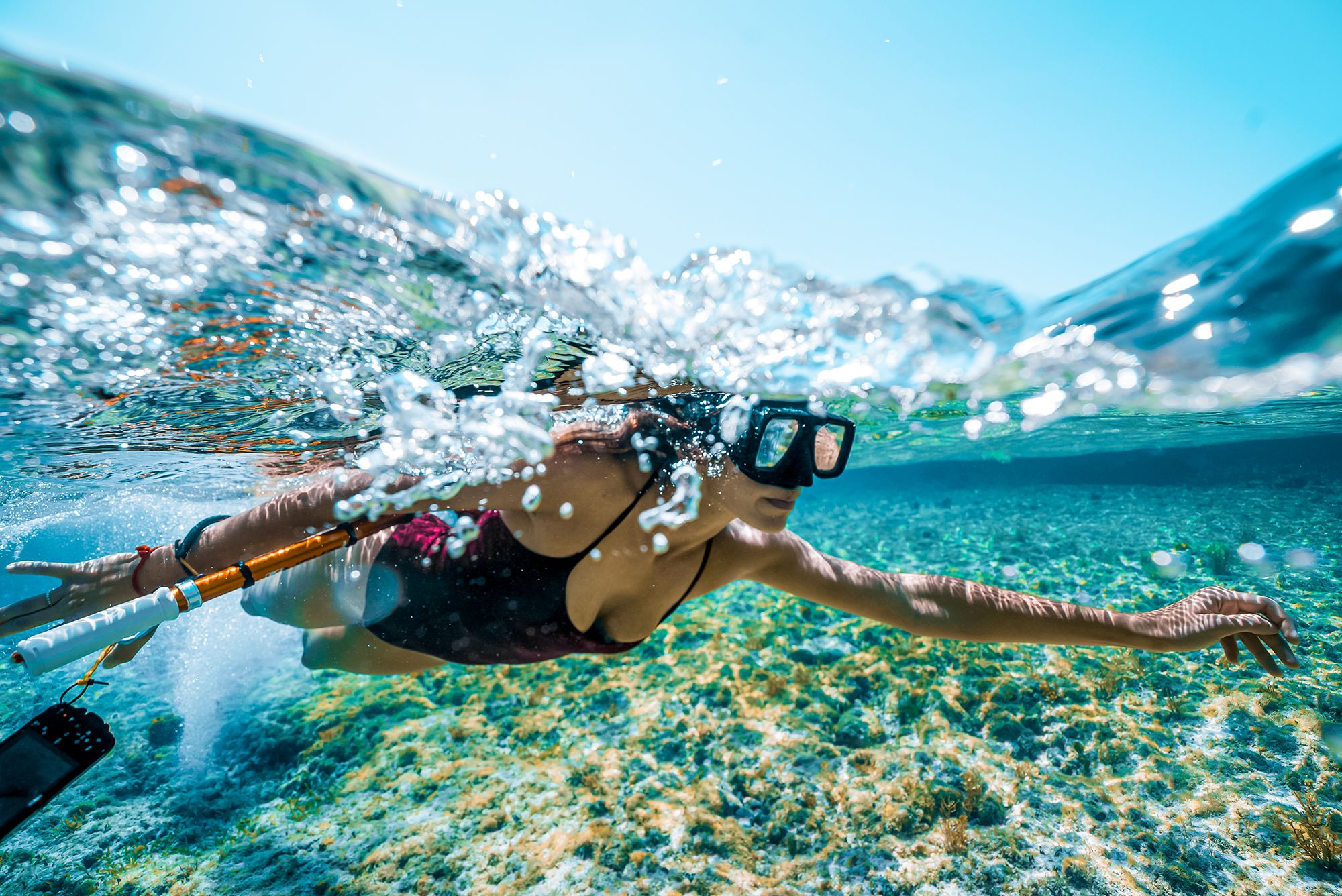Want The Best Snorkeling Vacation In Jamaica? Here