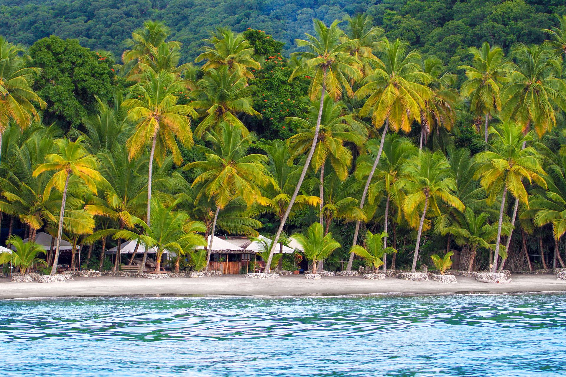 anse mamin saint lucia