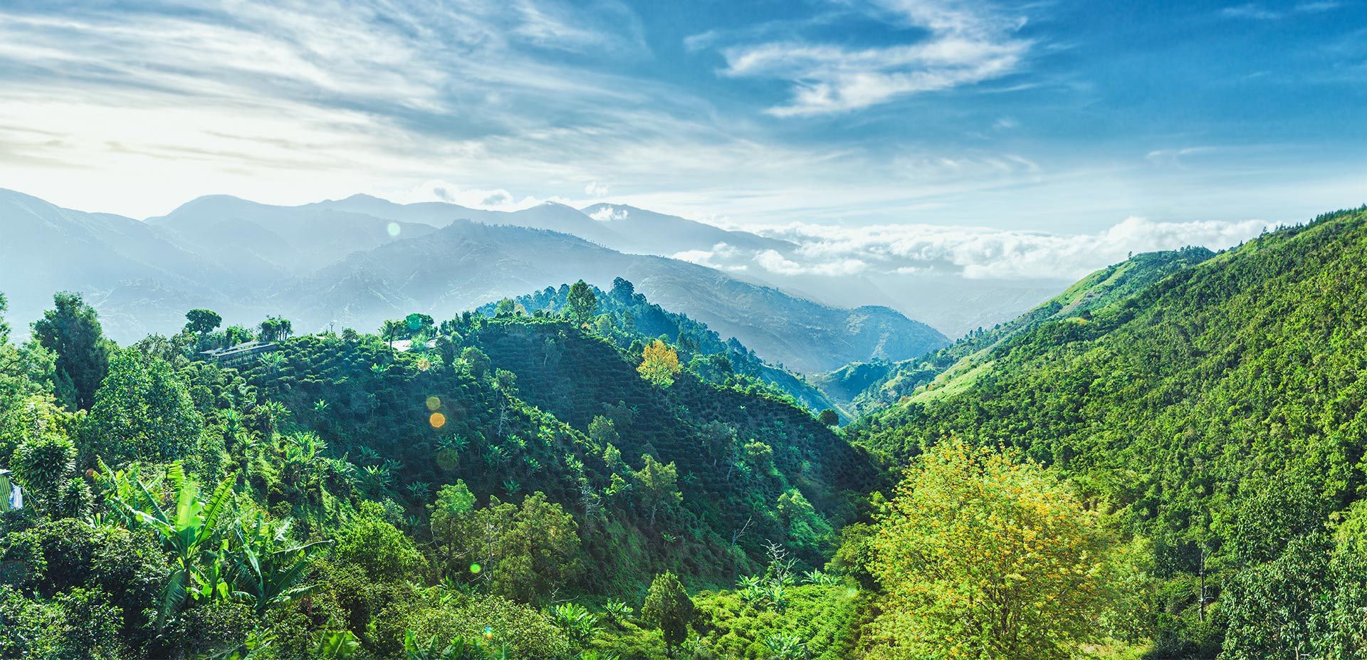 The Jamaican Blue Mountains