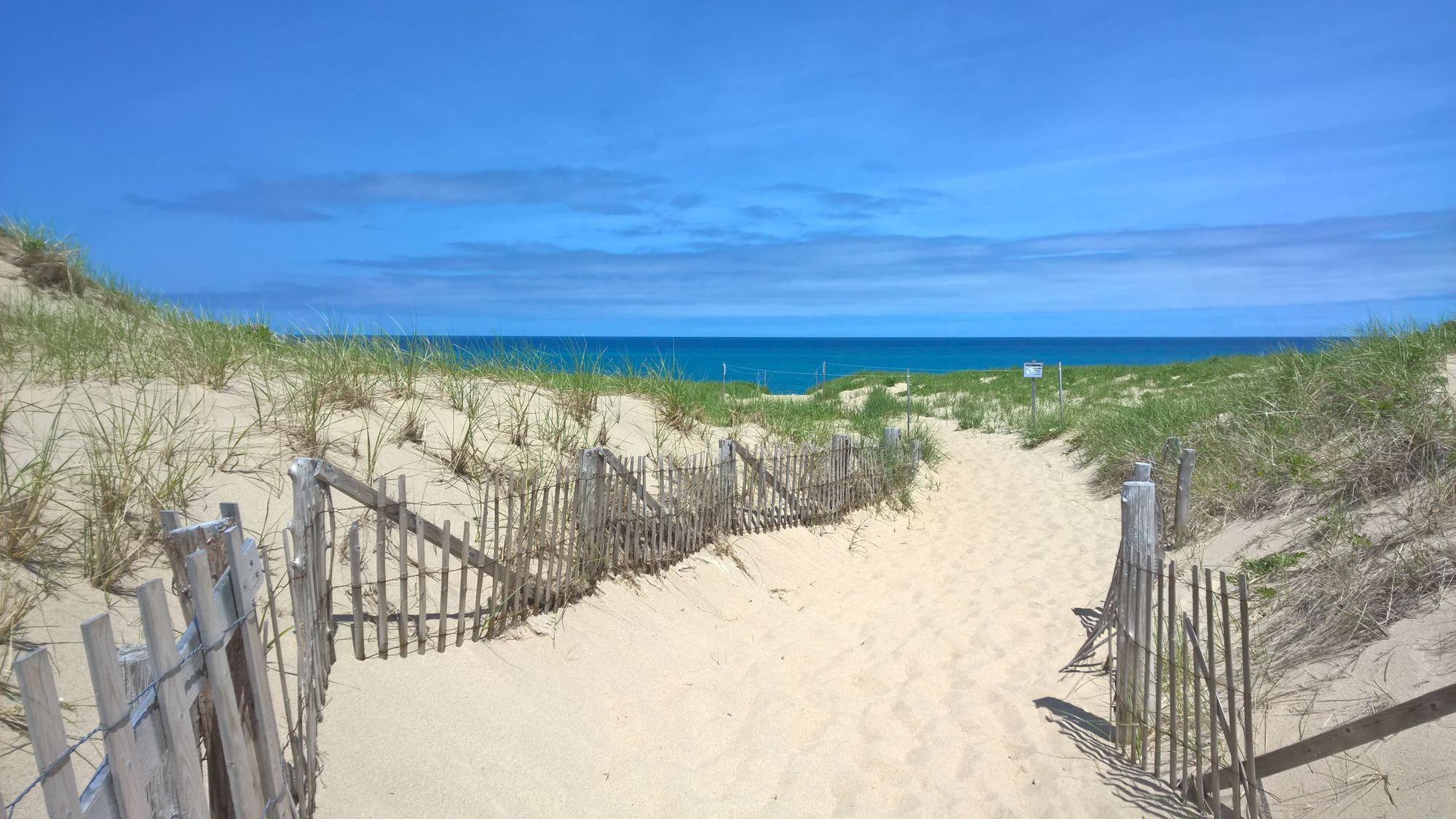 cape-cod-beach