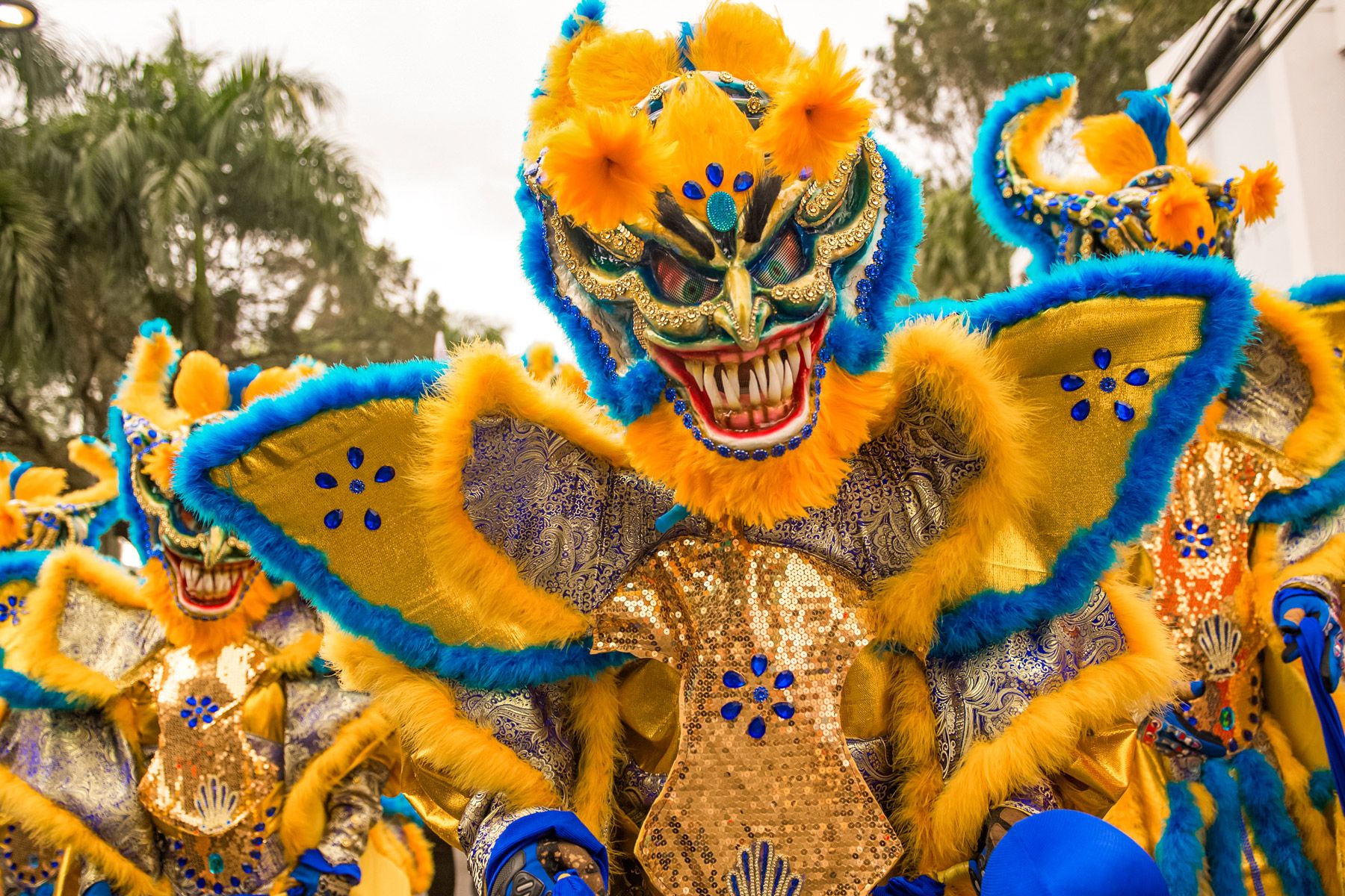 carnival dominica republic yellow costume