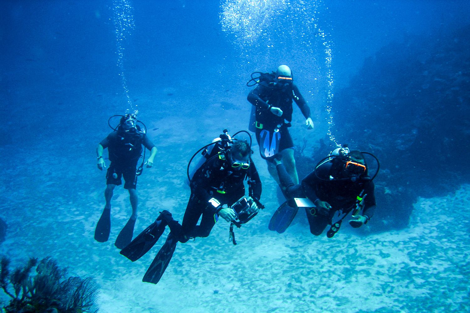 diving_Bahamas