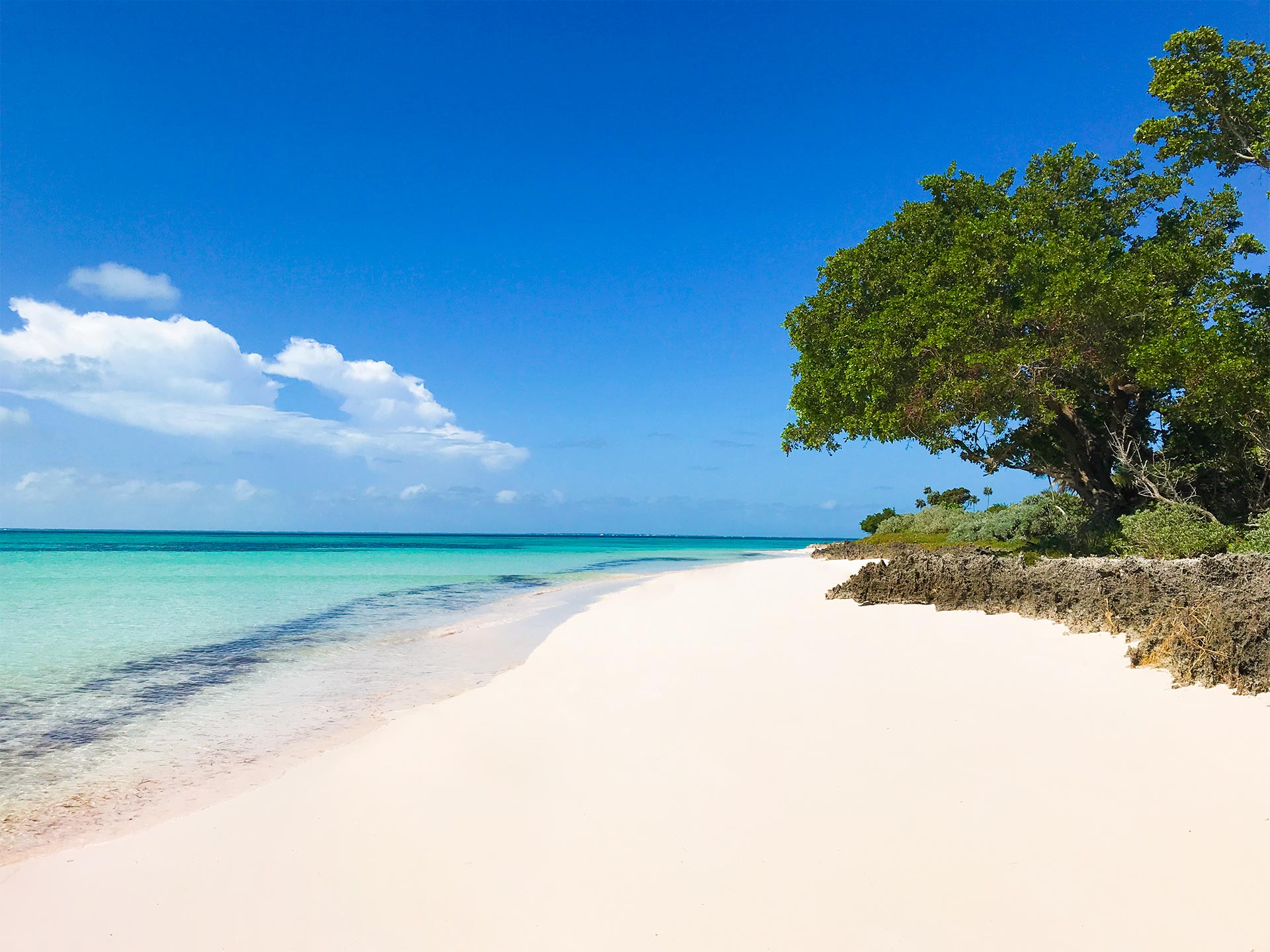 great guana cay abaco