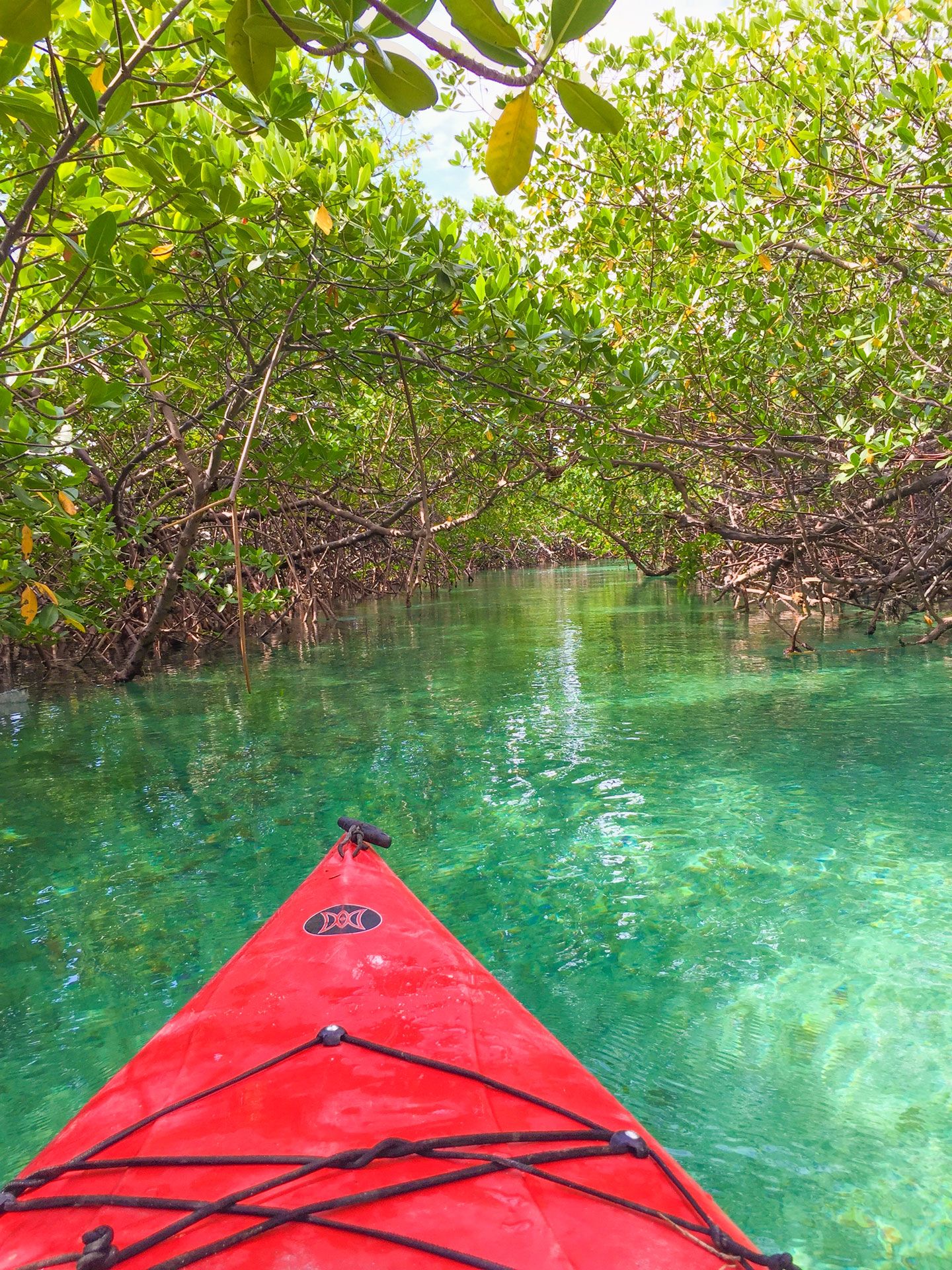 Lukayan national park