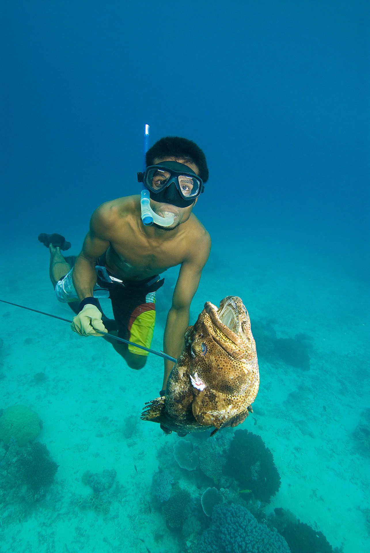 man spearfishing a grouper