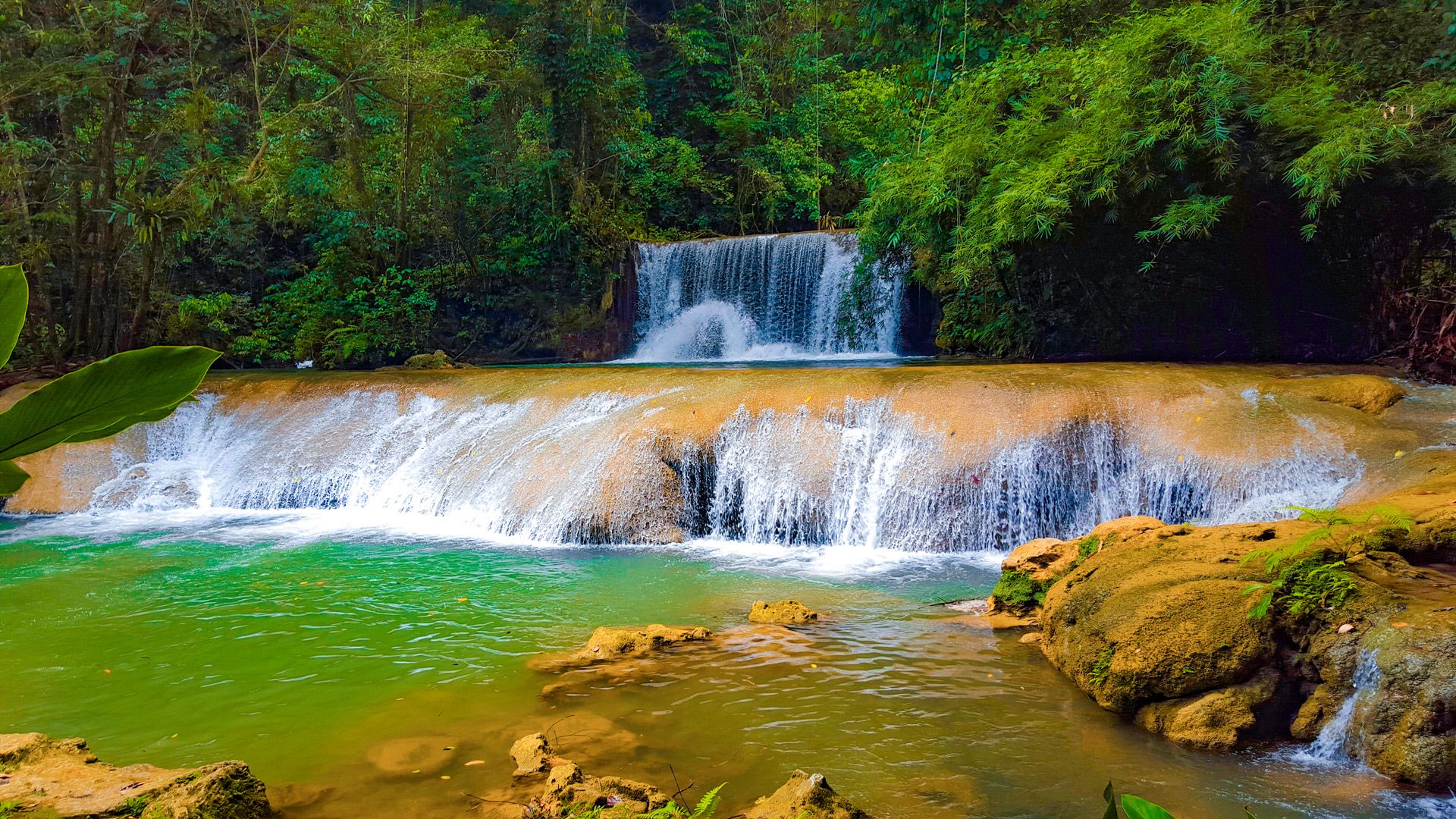 mayfield falls jamaica