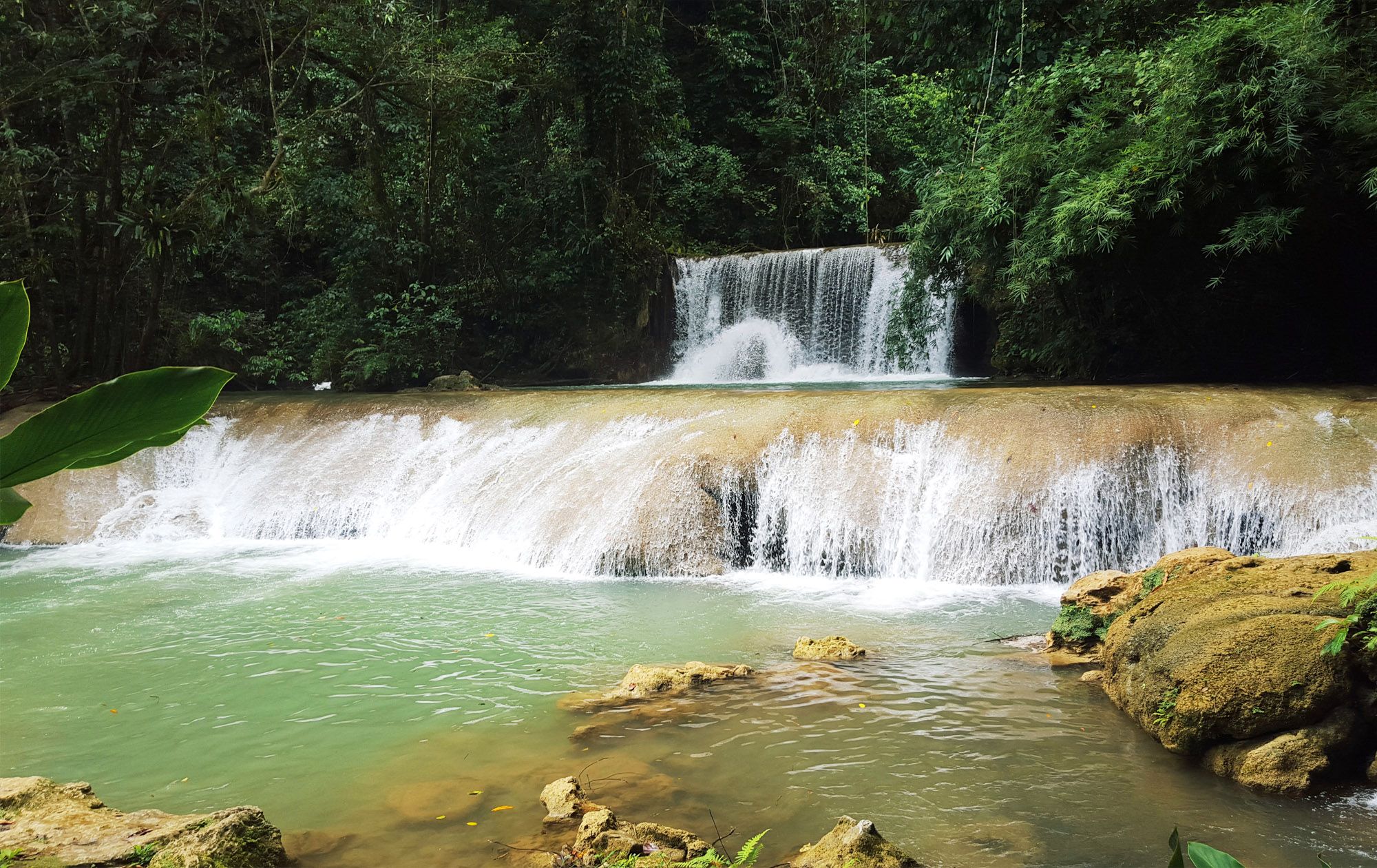 Westmoreland's Mayfield Falls - A True Jamaican Nature Experience Awaits