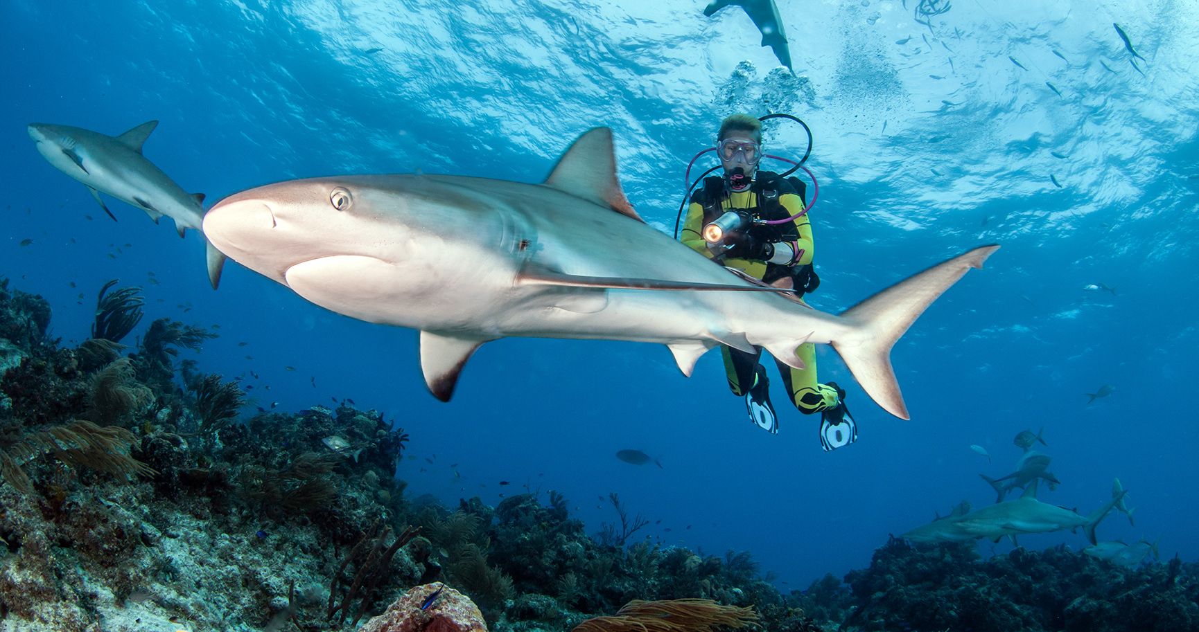 scuba-diving-in-Cancun