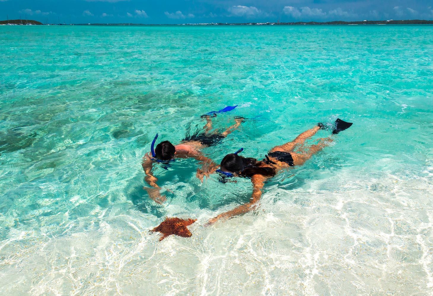 Couple Snorkeling With Starfish