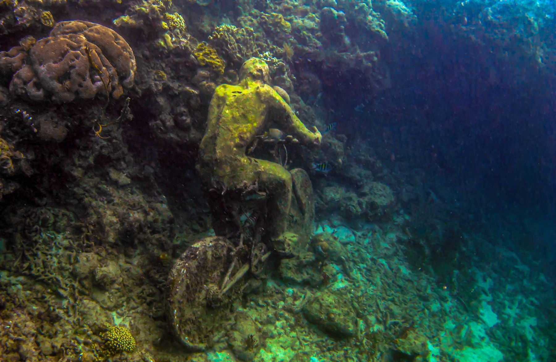 Grenada Underwater Sculpture Park cyclist