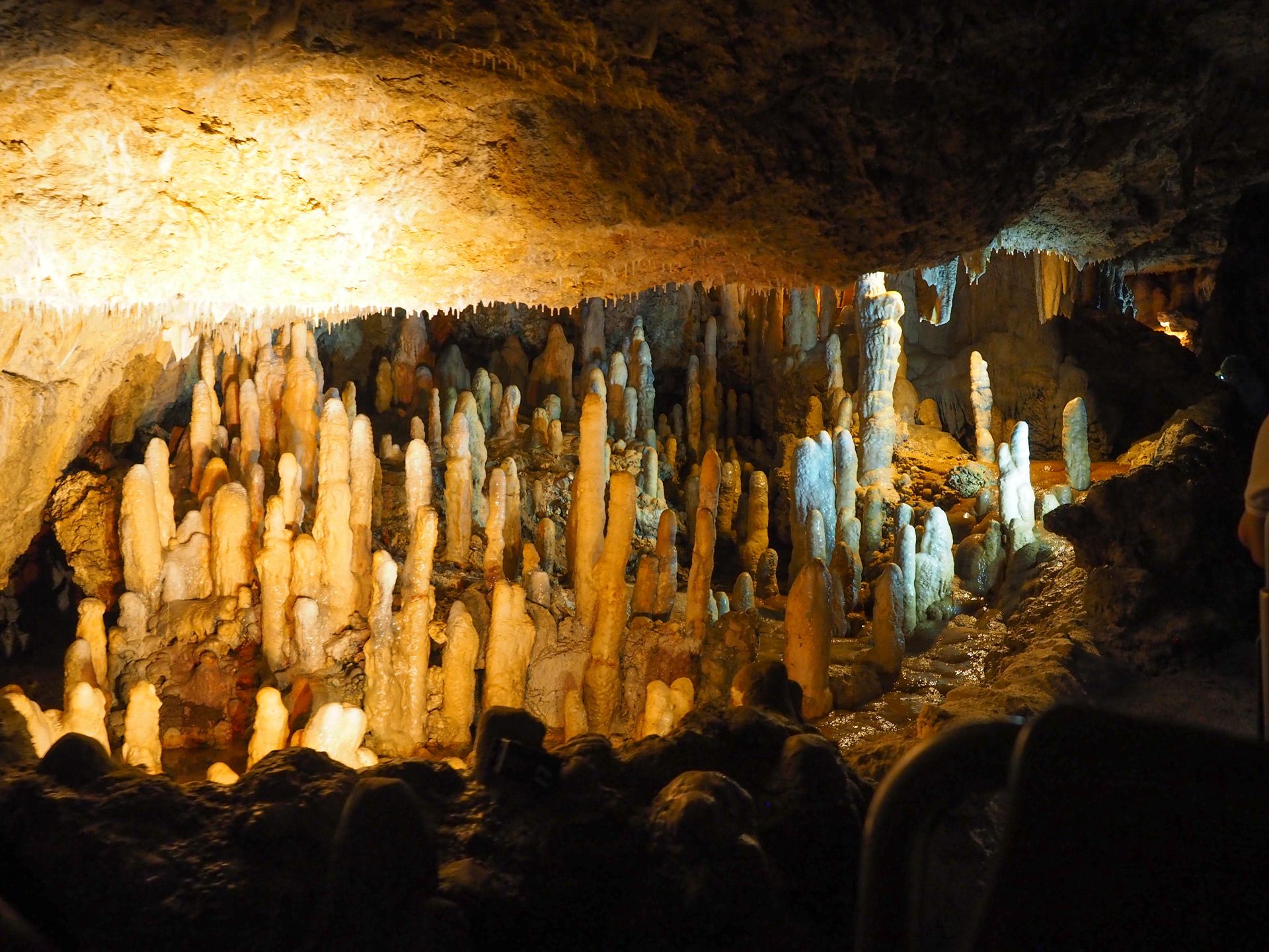 Harrison's Cave Barbados illuminated stalagmites