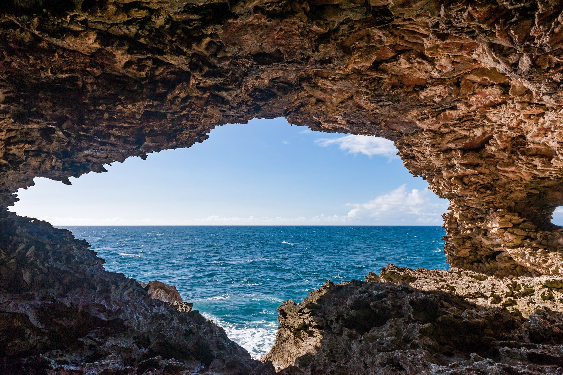 animal flower cave barbados