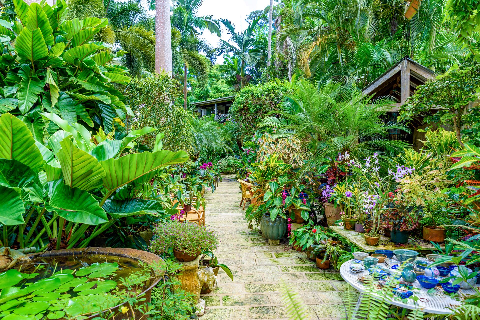 barbados huntes garden