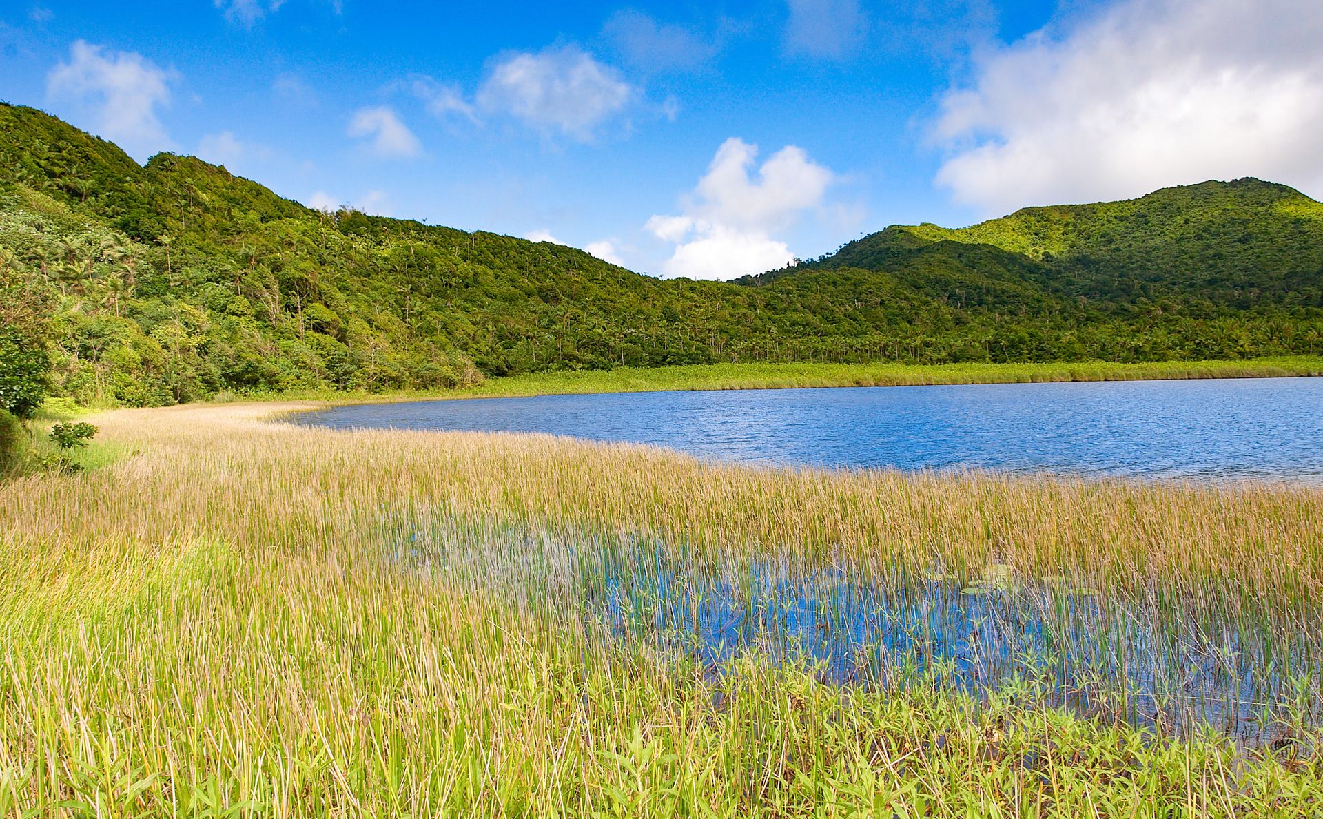 grand etang national park Grenada