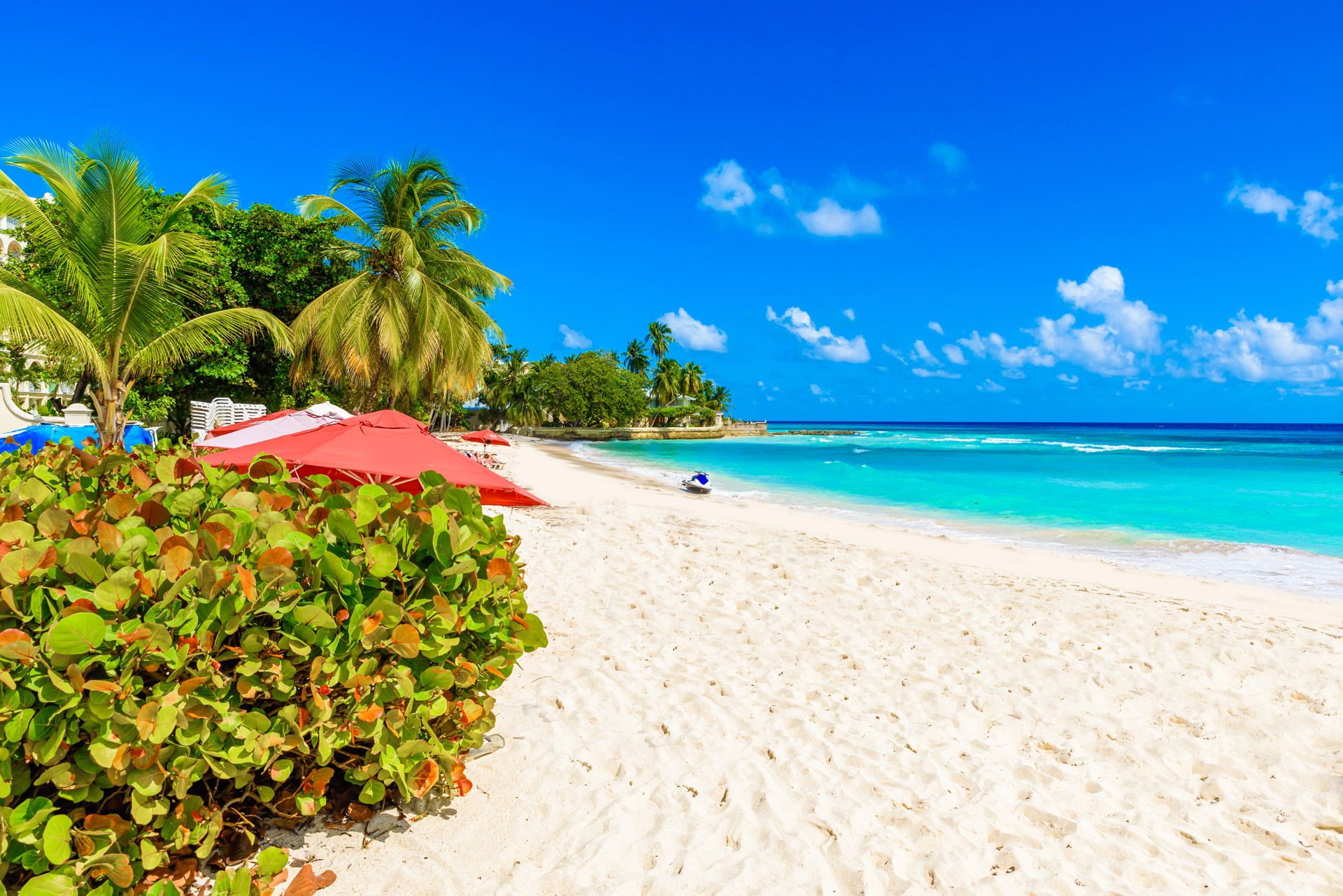 barbados dover beach