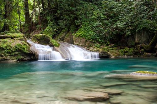 Waterfalls, Ponds & Even An Aviary - Here's Why You Should Visit Jamaica's Turtle River Falls!