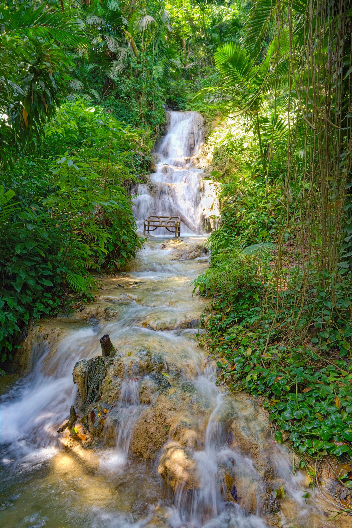 Waterfalls, Ponds & Even An Aviary - Here's Why You Should Visit Jamaica's Turtle River Falls!