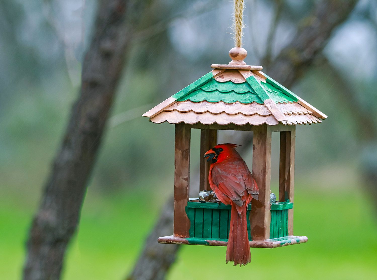 wooden-bird-feeder2